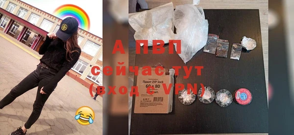 ПСИЛОЦИБИНОВЫЕ ГРИБЫ Белокуриха