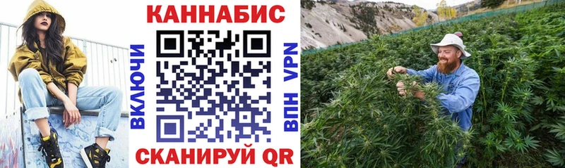 где продают   Карачаевск  kraken как войти  Бошки Шишки Amnesia 